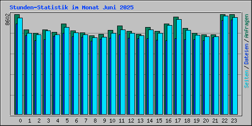 Stunden-Statistik im Monat Juni 2025