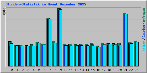 Stunden-Statistik im Monat Dezember 2025